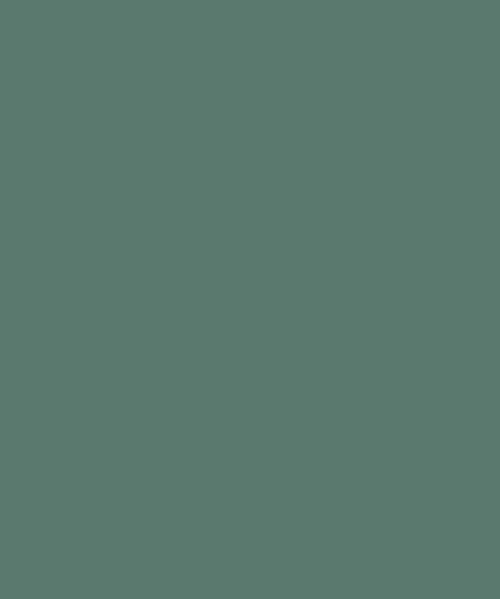 dentel-vector4aqua